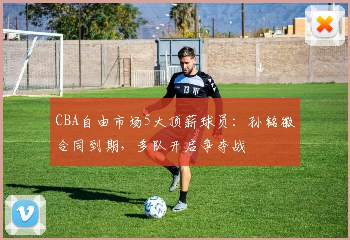 CBA自由市场5大顶薪球员:孙铭徽合同到期,多队开启争夺战